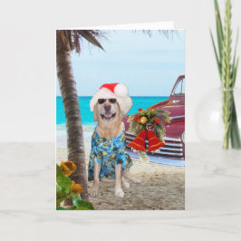 Cartão De Festividades Funny Lab/Dog Havaiano/Surfer Natal