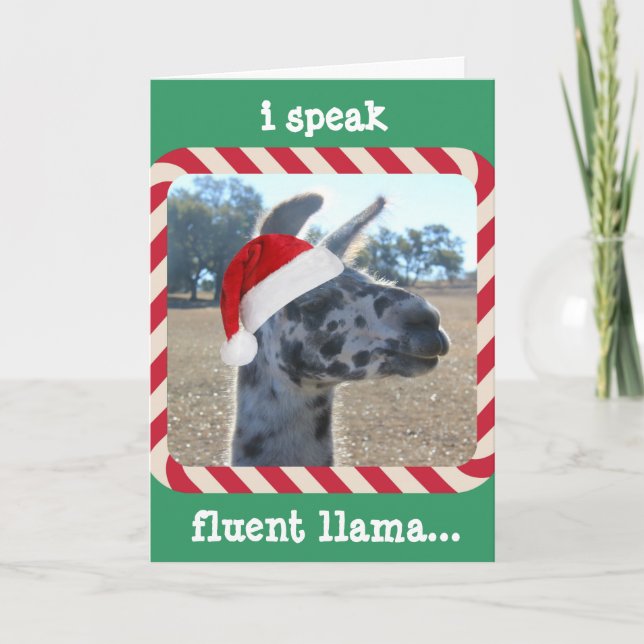 Cartão De Festividades Funny Llama Christma Card, I speak fluent llama... (Frente)