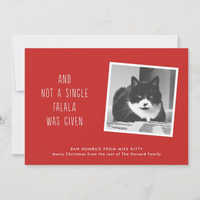 Cartão De Festividades Funny Pet Christmas Cards for Cat People (Frente)
