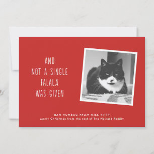 Cartão De Festividades Funny Pet Christmas Cards for Cat People