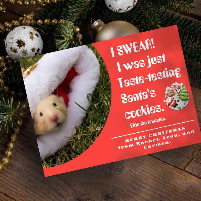 Cartão De Festividades Funny pet Hamster Photo Christmas Card (Criador carregado)