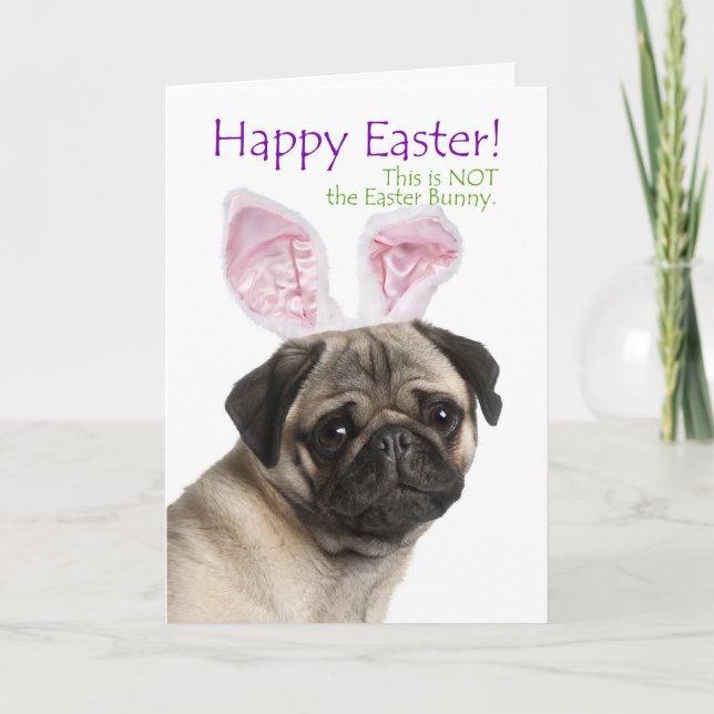 Cartão De Festividades Funny Pug Easter Card (Frente)