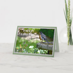 Cartão De Festividades Funny Robin Birthday Card