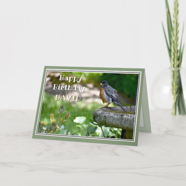 Cartão De Festividades Funny Robin Birthday Card (Frente)