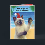 Cartão De Festividades Funny "Sandy Claws" Cat On The Beach Christmas<br><div class="desc">What do you call a cat at the beach? Sandy Claws! Ho! Ho! Ho! Funny card for cat lovers as well as silly riddle/pun lovers. Who can resist this cute Siamese cat wearing a Santa hat?</div>
