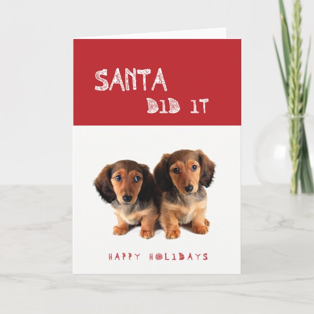 Cartão De Festividades Funny Santa Did It Dachshund puppies (Frente)