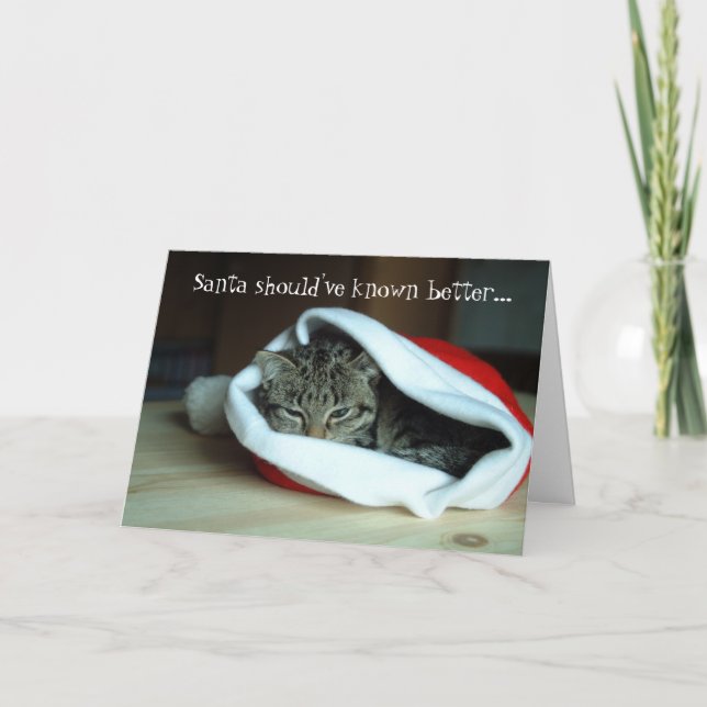 Cartão De Festividades Funny Santa Hat Cat Christmas Card (Frente)