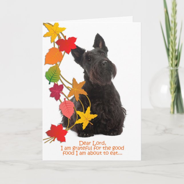 Cartão De Festividades Funny Scottie Thanksgiving Card (Frente)