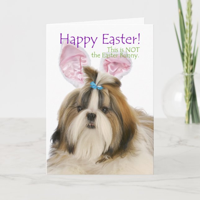 Cartão De Festividades Funny Shih Tzu Easter Card (Frente)