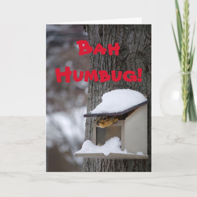 Cartão De Festividades Funny Squirrel Christmas greeting card (Frente)