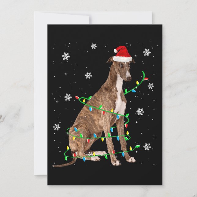 Cartão De Festividades galgo luz de natal santa fofo galgo (Frente)