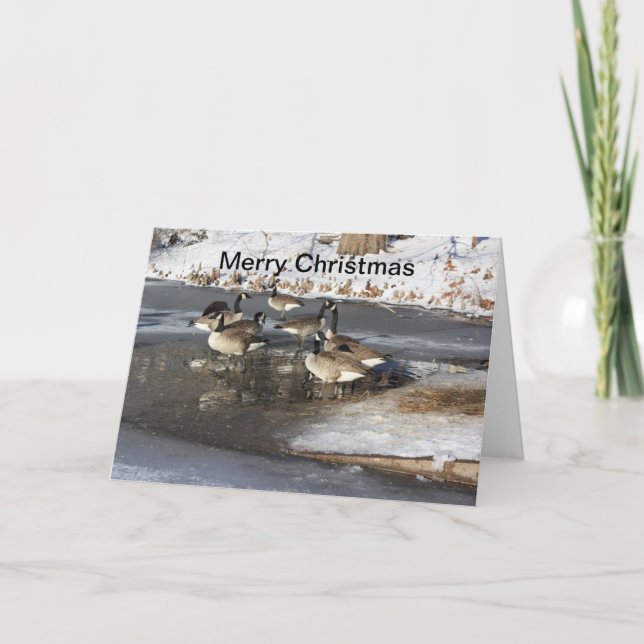 Cartão De Festividades Gansos Esperando (Frente)