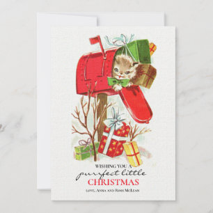 Cartão De Festividades Gatinha Na Caixa de Correio