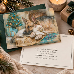 Cartão De Festividades Gatinho Branco Pastor Alemão Adormecido Natal