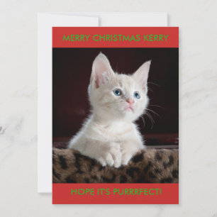 CARTÃO DE FESTIVIDADES GATINHO BRANCO PERSONALIZADO