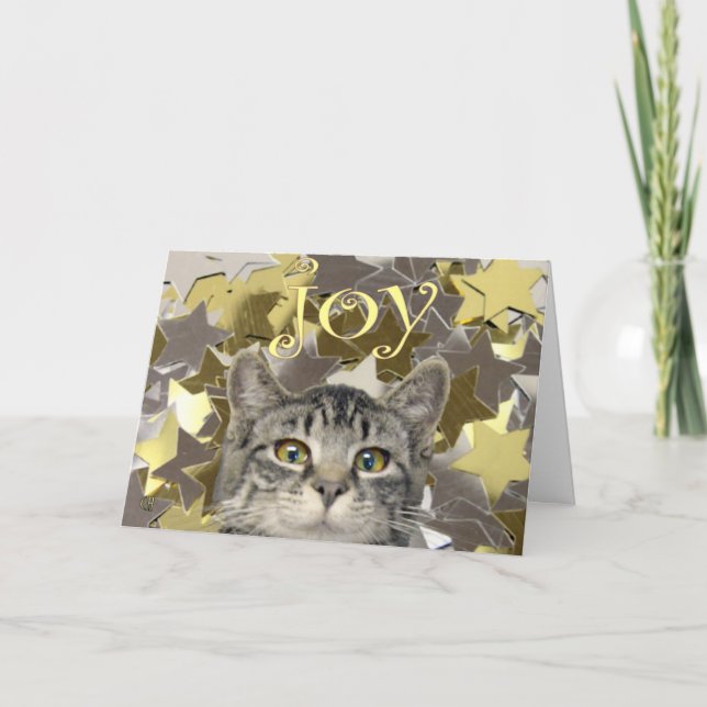 Cartão De Festividades Gatinho da estrela (Frente)