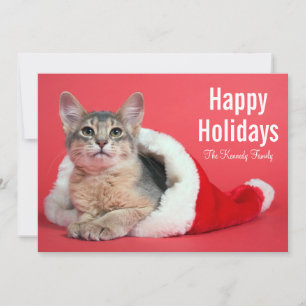 Cartão De Festividades Gatinho de Natal