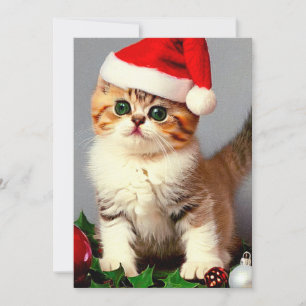 Cartão De Festividades Gatinho de Natal Vintage com Chapéu de Papai Noel