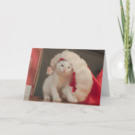 Cartão De Festividades Gatinho do papai noel