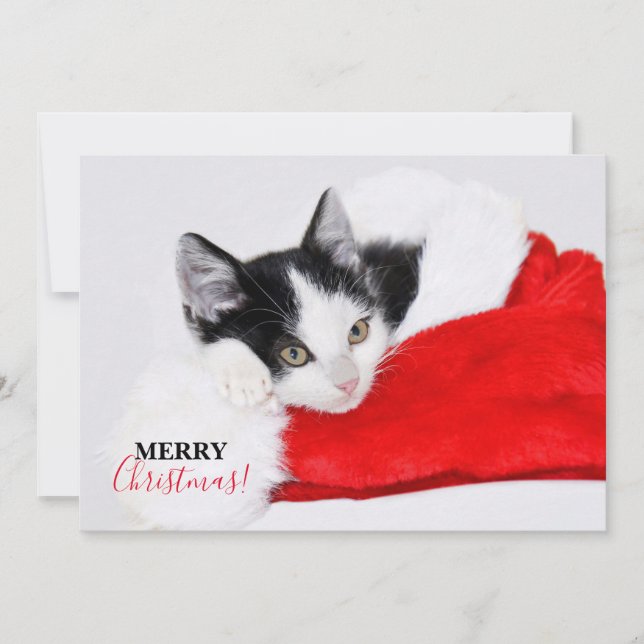 Cartão De Festividades Gatinho Fofo de Chapéu de Papai Noel (Frente)