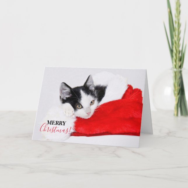 Cartão De Festividades Gatinho giro em Santa Hat (Frente)
