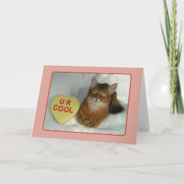 Cartão De Festividades Gatinho namorados U R Placa Legal