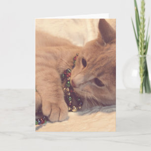 Cartão De Festividades gatinho natais vintages