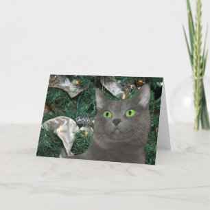 Cartão De Festividades gatinho Natal da cinza