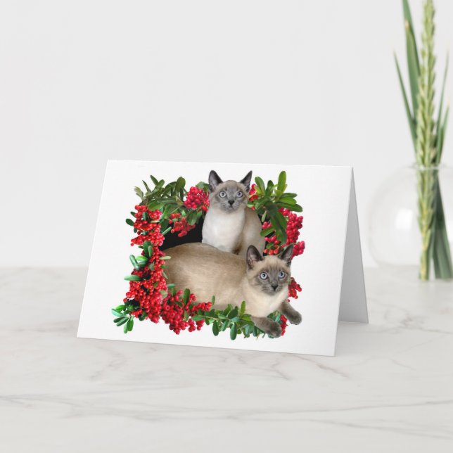 Cartão De Festividades Gatinhos Siamese no quadro da baga (Frente)