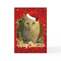 Gato Adorável Com Chapéu de Papai Noel Natal