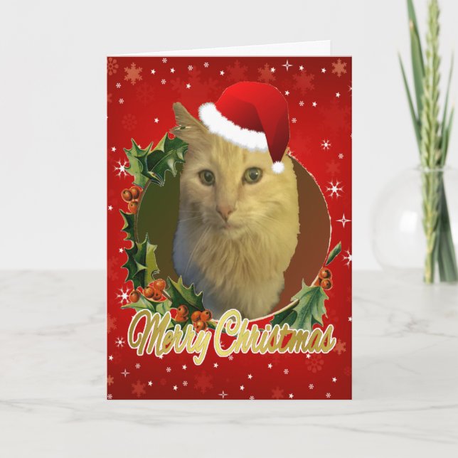 Cartão De Festividades Gato Adorável No Natal (Frente)