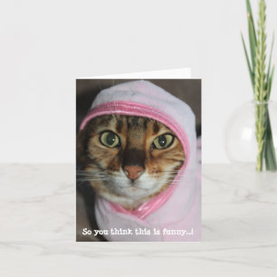 Cartão De Festividades Gato Bengal Hoodie, "Então você acha isso engraçad