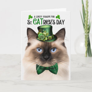 Cartão De Festividades Gato Birmanêz Engraçado Dia de S. CATrício Amuleto