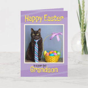 Cartão De Festividades Gato Bonito do Avô felz pascoa em Gravata