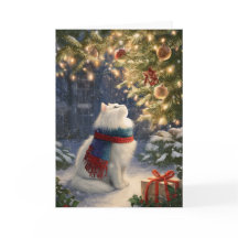 Gato Branco de Natal