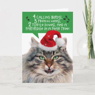 Cartão De Festividades Gato Cantante Engraçado - Os 12 Dias De Natal