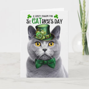Cartão De Festividades Gato Cinza Chartreux St CATrick's Day Amuleto da S