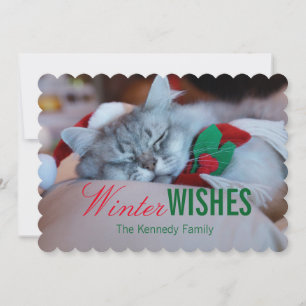 Cartão De Festividades Gato com chapéu do Natal e lenço, gato do sono