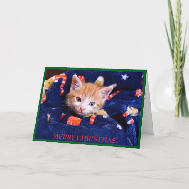Cartão De Festividades Gato com Cobertor Azul Feliz Natal Gatinho Laranja (Frente)