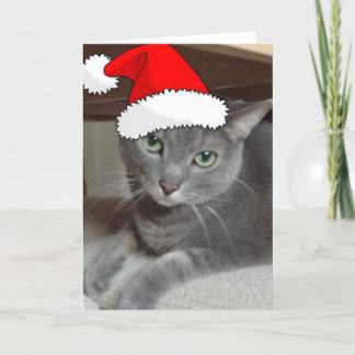Cartão De Festividades Gato de Cinza Azul Russo Natal
