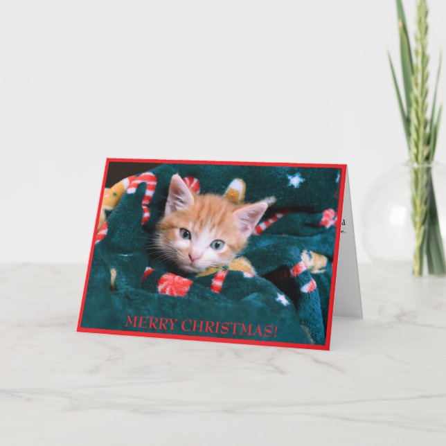 Cartão De Festividades Gato de cobertor verde Feliz Natal Laranja Kitten (Frente)