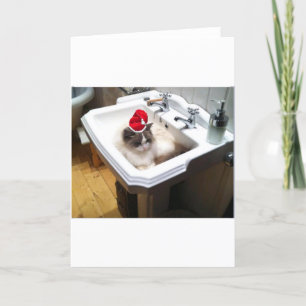 Cartão De Festividades Gato de Natal