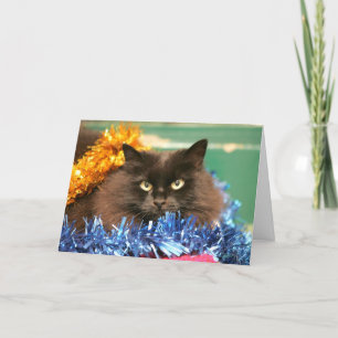 Cartão De Festividades Gato de Natal