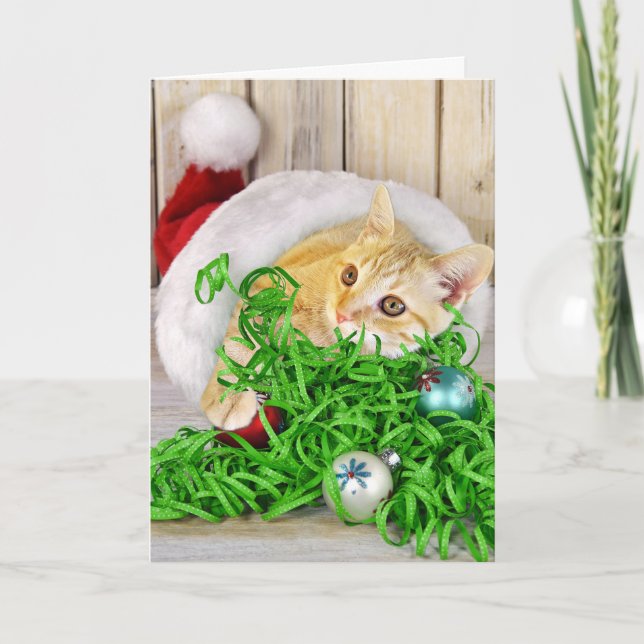 Cartão De Festividades Gato de Natal com chapéu (Frente)