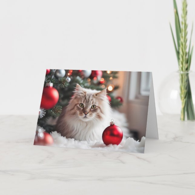 Cartão De Festividades Gato De Natal Com Ornamento Vermelho (Frente)