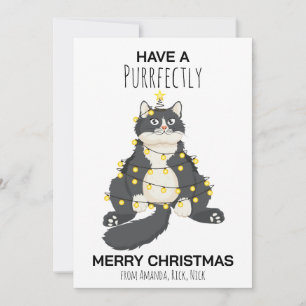 Cartão De Festividades Gato de Natal Divertido e Festivo Minimal Amante d