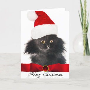 CARTÃO DE FESTIVIDADES GATO DE NATAL PRETO COM CHAPÉU DE SANTA CLAUS