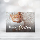 Cartão De Festividades Gato de Neve de Natal | Pet Photo<br><div class="desc">Celebre a época de férias com este cartão de feriado chic com um roteiro moderno que diz "Feliz Natal" e queda de neve.</div>