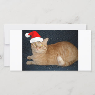 Cartão De Festividades Gato de Tabby Laranja Natal