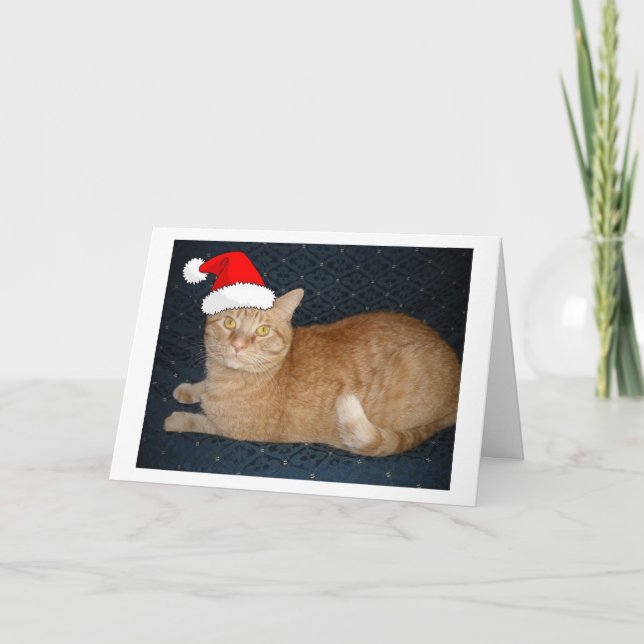 Cartão De Festividades Gato de Tabby Laranja Natal (Frente)